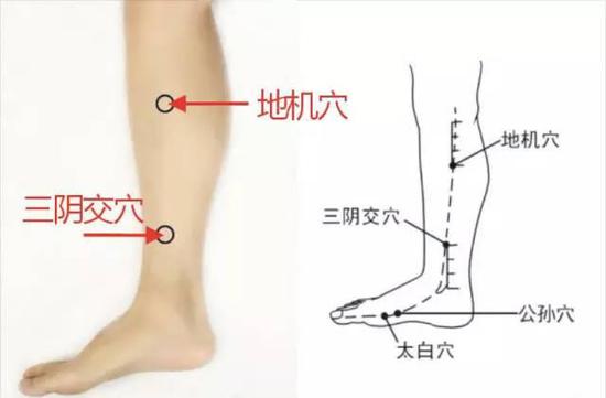 指压疗法常用手法,指压法和压迫法