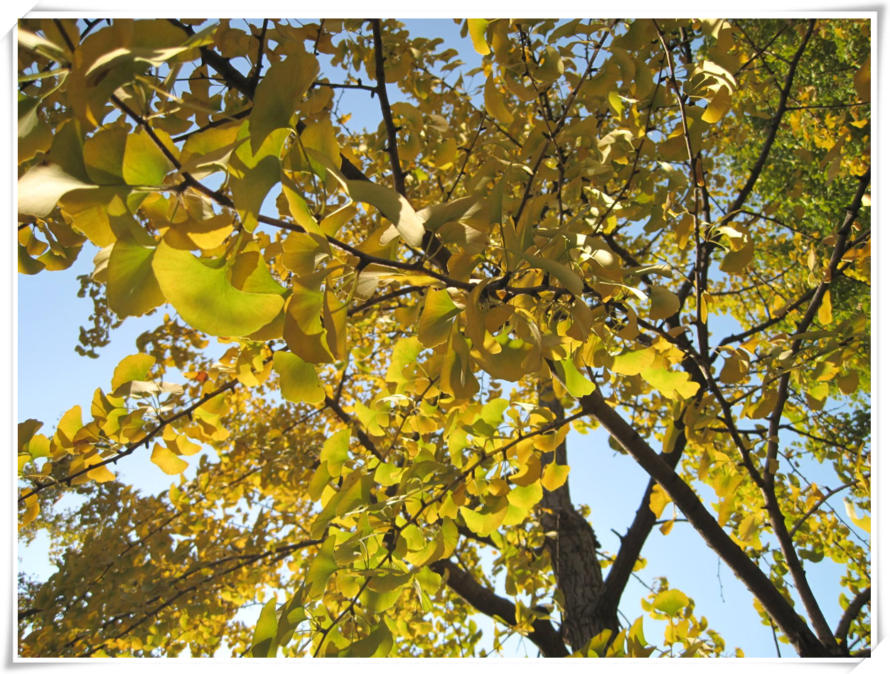 科普天空为什么是蓝色,关于天空的科普短视频