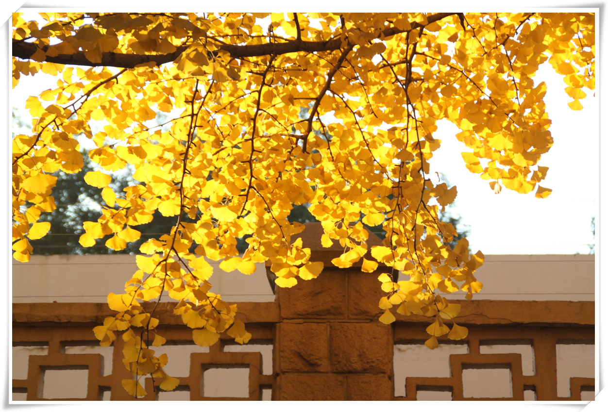 科普天空为什么是蓝色,关于天空的科普短视频