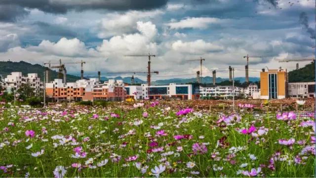 贵州最富的土豪村,贵州省最穷10大县