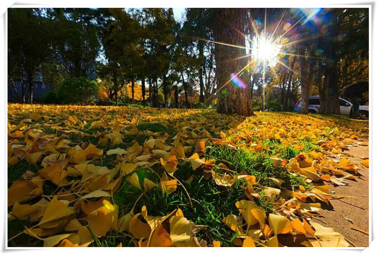 科普天空为什么是蓝色,关于天空的科普短视频