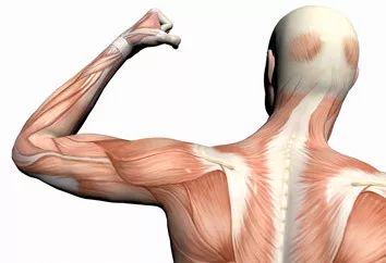 答疑（72）：站着跑，蹲着接