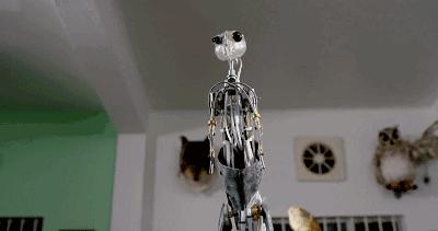 这34个间谍，每天只干一件事：*窥偷**！还拍成电影全球上映？