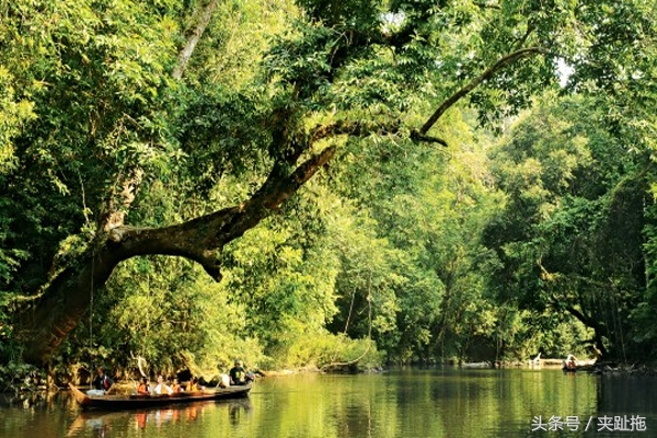 移民到马来西亚的真实感受,移居马来西亚怎么样