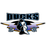 集齐CBA20队队徽，哪队最帅气，有一队最牛逼