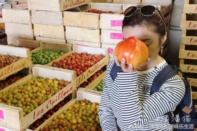来自普罗旺斯的薰衣草,普罗旺斯薰衣草的味道