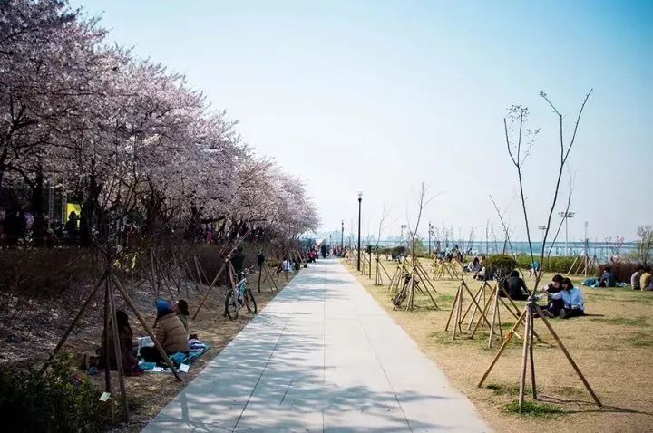 最浪漫韩国济州岛旅游攻略,济州岛浪漫幻境