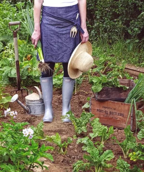 回归田园梦想中的生活,回归田园过上简单生活