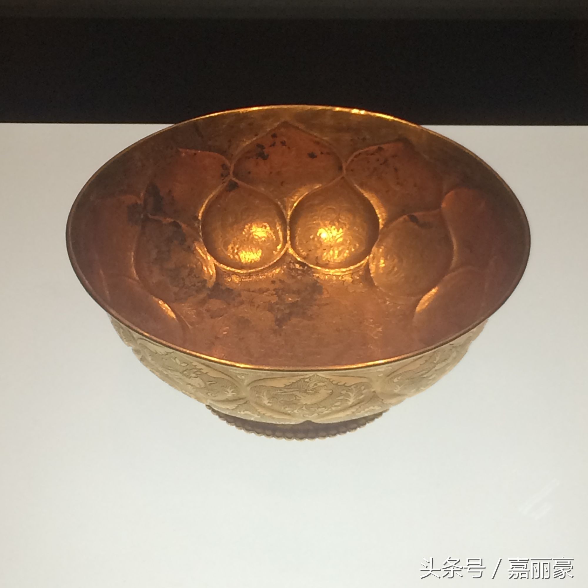 陕西历史博物馆差评,陕西历史博物馆倒卖