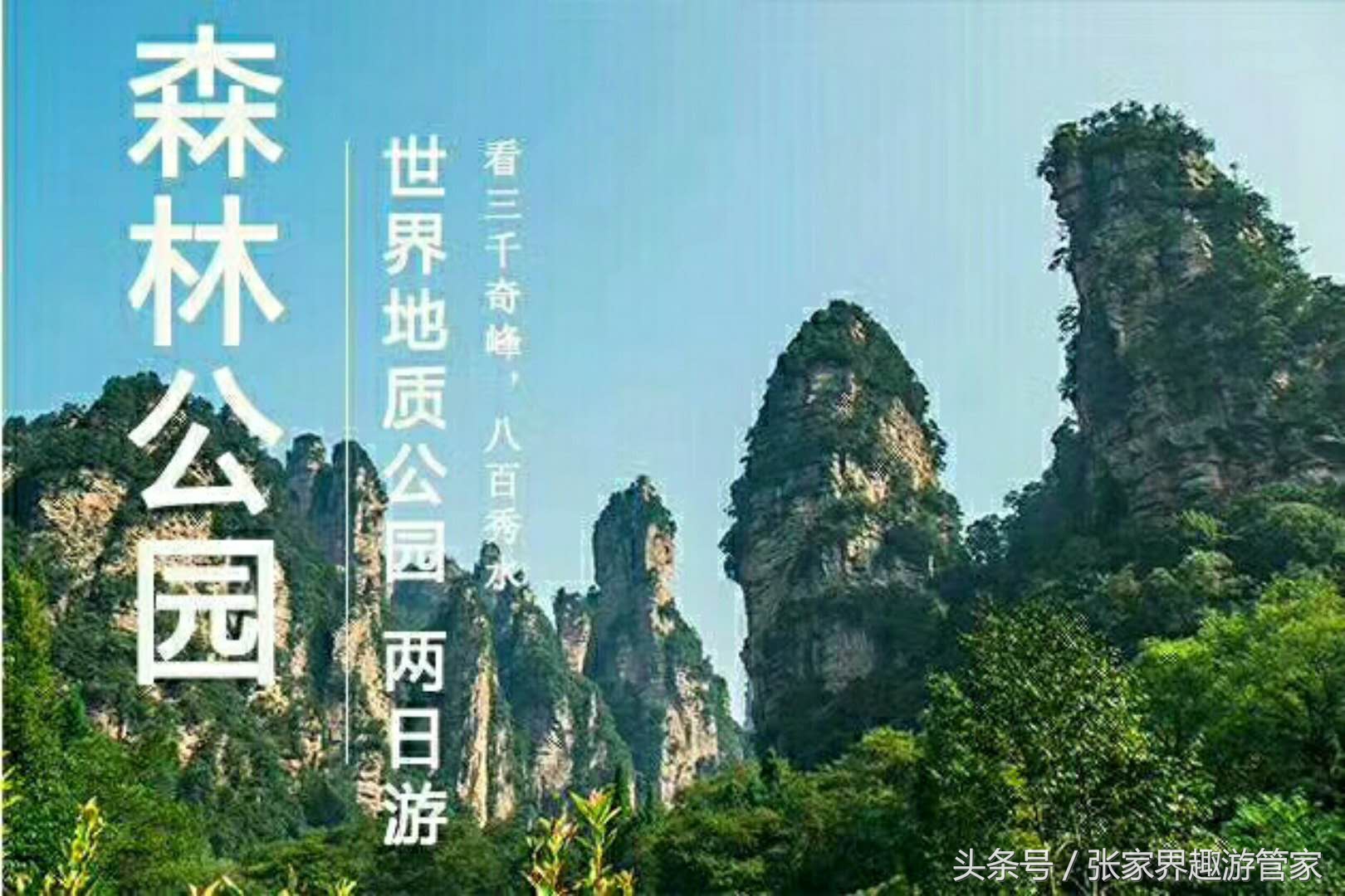 张家界旅游详细攻略4晚,张家界自驾旅游详细攻略五天4晚