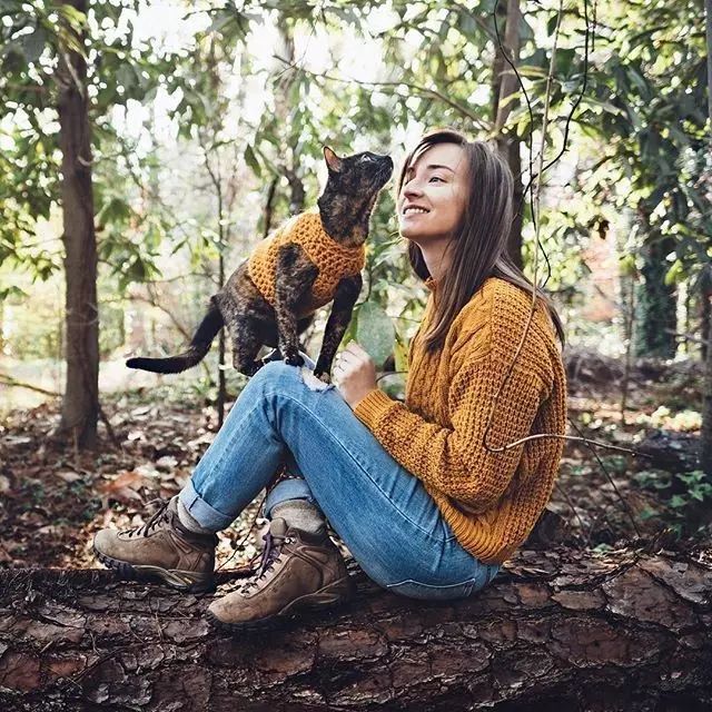 玳瑁猫最丑的猫,玳瑁猫长得好凶