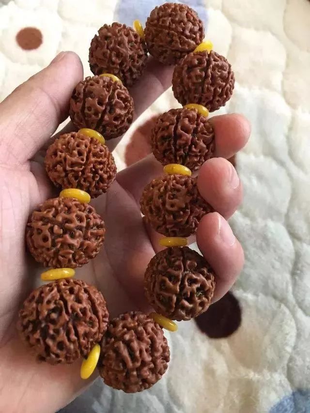 怎样区分打药的金刚菩提,金刚菩提怎么鉴别值钱