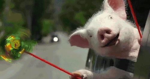 微信上面的理财通靠谱吗,微信里面的理财通靠谱吗