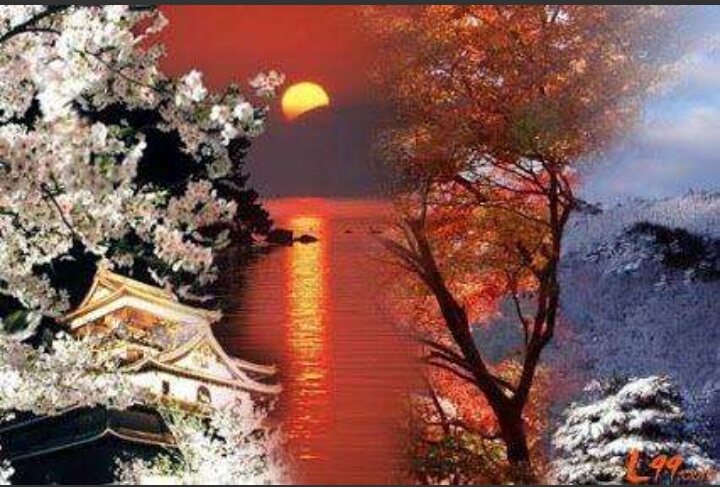 幽窗冷雨一灯孤诗词解释,幽窗冷雨