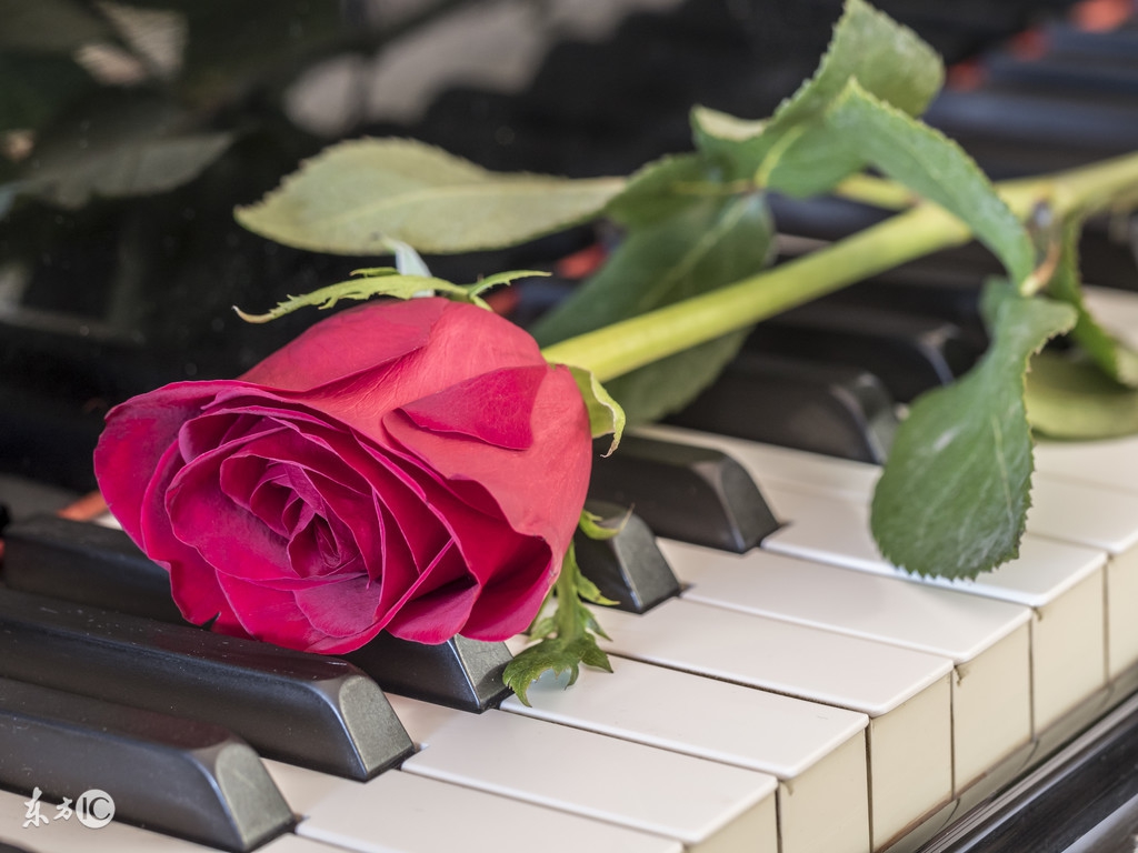 四十岁的女人要注意哪些,四十岁独身的女人