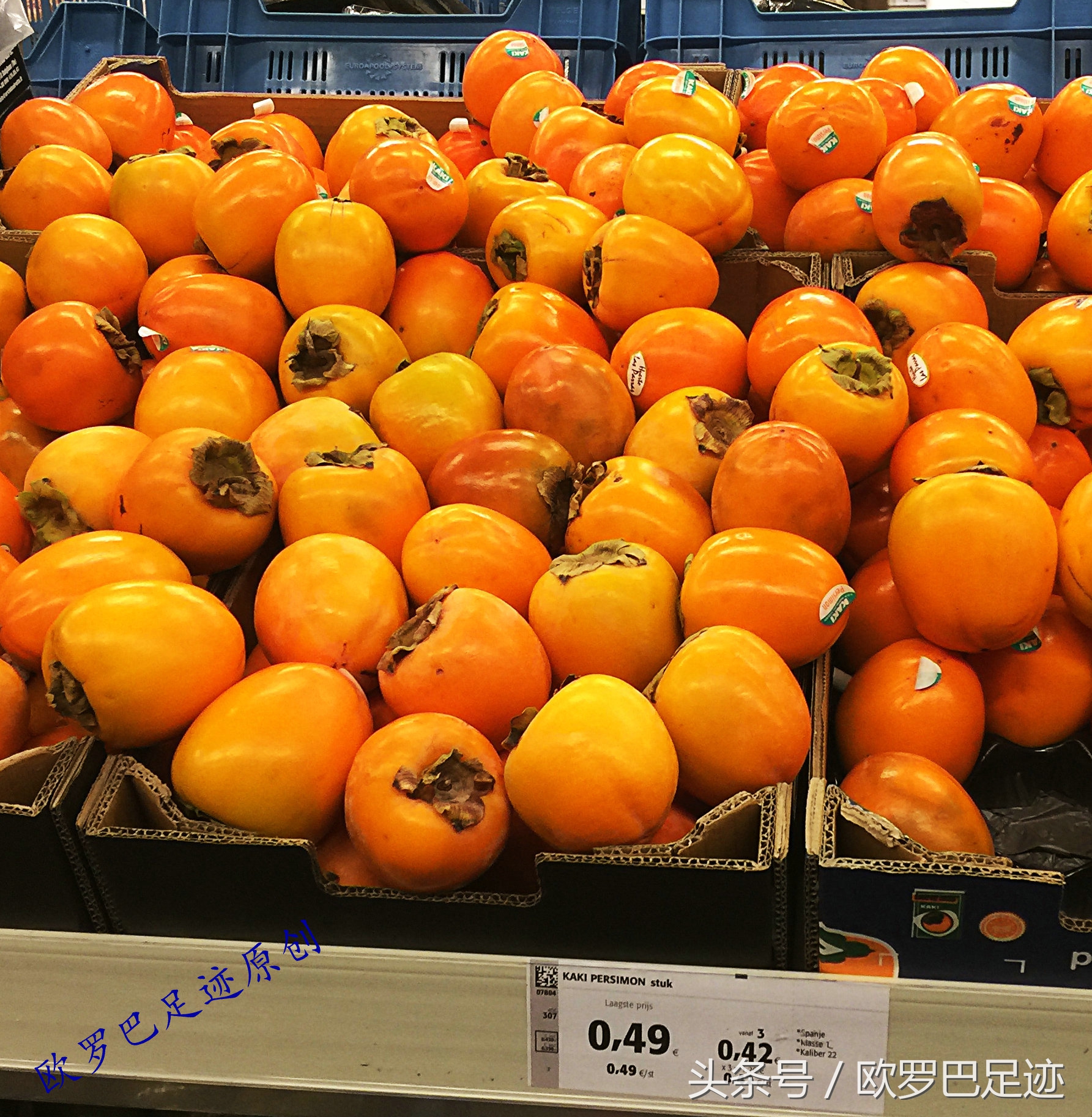 欧洲超市的价格太丧,pu心,da病,xi狂,ben……原创实拍