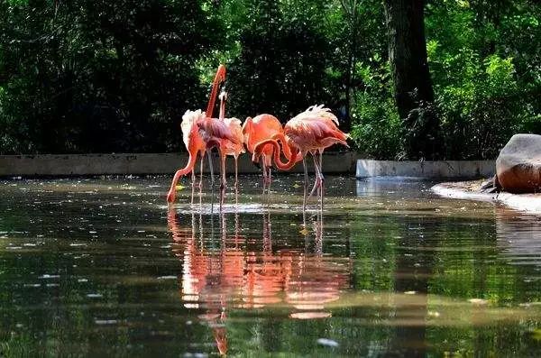 上海松江未来地铁线路图2025超清,上海各区旅游地铁线路图