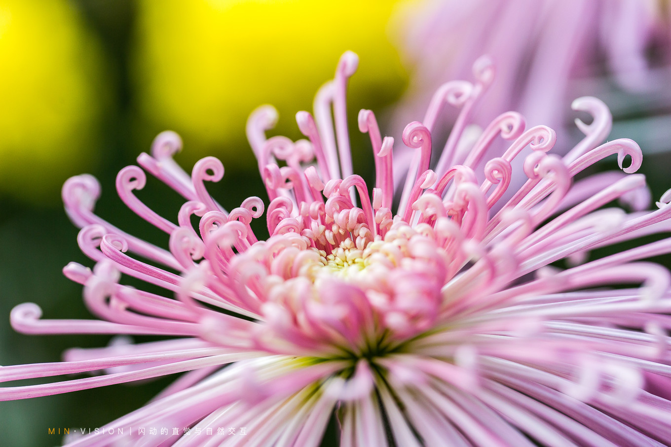 去东京玩用什么攻略,东京攻略东京