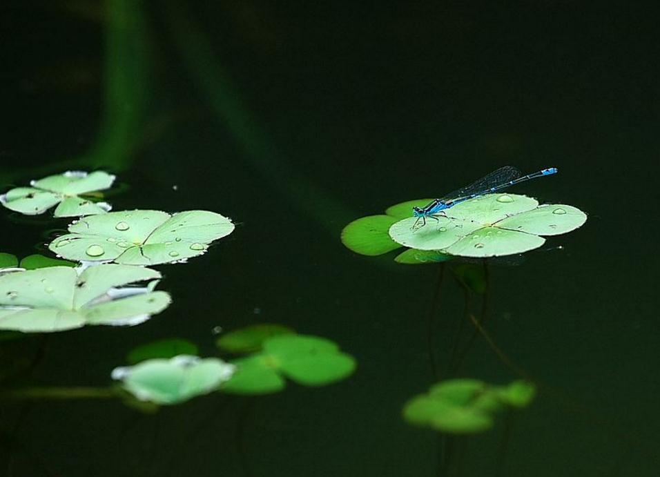 避免翻船通关,如何防止船舶翻船