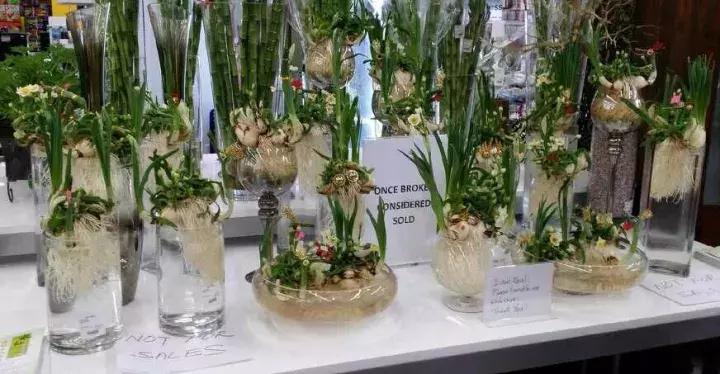 水仙花的造型艺术图片,水仙花的花语传说与诗词鉴赏