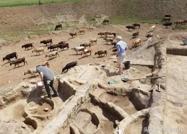 finalfantasyxv料理,最终幻想xv美食篇