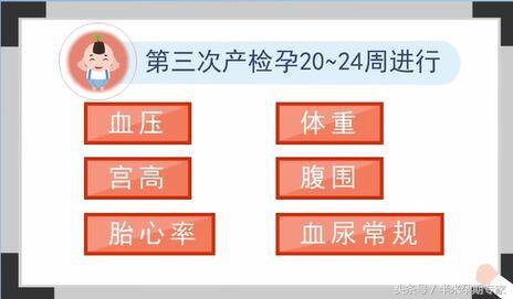 孕期产检项目溶血,孕期要做哪些产检项目