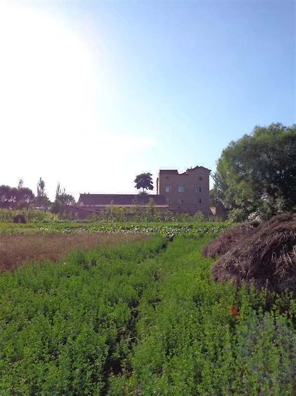 甘肃赏田园风光感受乡村魅力,甘肃渭源风景图片大全