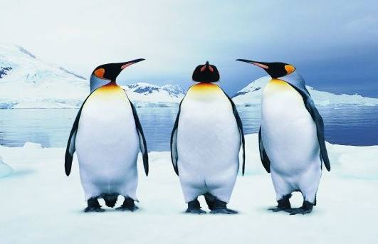 蓬莱是一个风景如画的地方,山东蓬莱有人间仙境吗