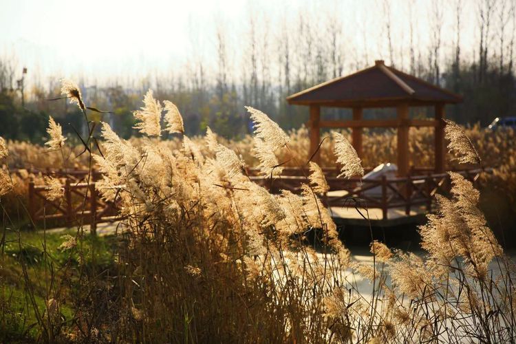 金秋沂南,诗意流淌有那么一群爱美的人,把秋季沂南送到你面前