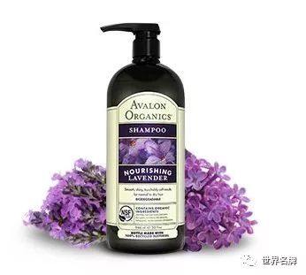 全球顶级洗发水排行榜前十名,全世界洗发水排行榜