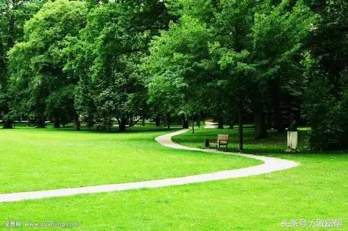 财富农观察｜从牧草到草坪，厉害了我的草！