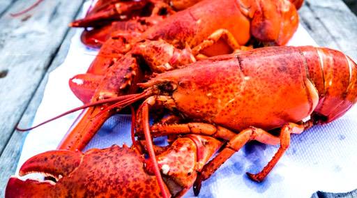 大西洋的爱德华王子岛，原来要穿过世上最长的冰覆盖水域才能到