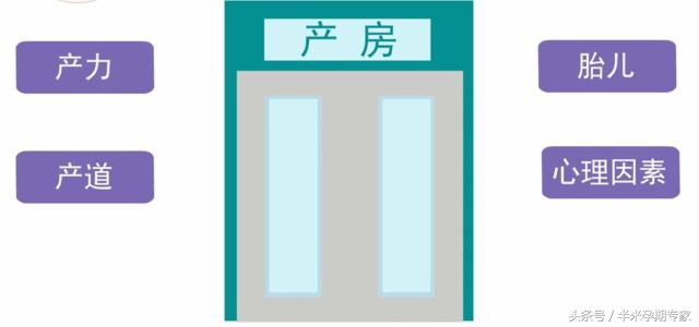 孕期甲减tsh偏低,孕期甲减没吃优甲乐