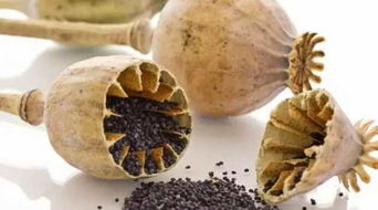 祖卡木颗粒可以治疗风寒感冒吗,打喷嚏流鼻涕可以喝祖卡木颗粒吗