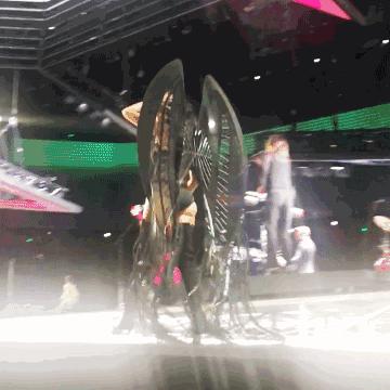 经典维密大秀,2017年维密大秀精彩集锦