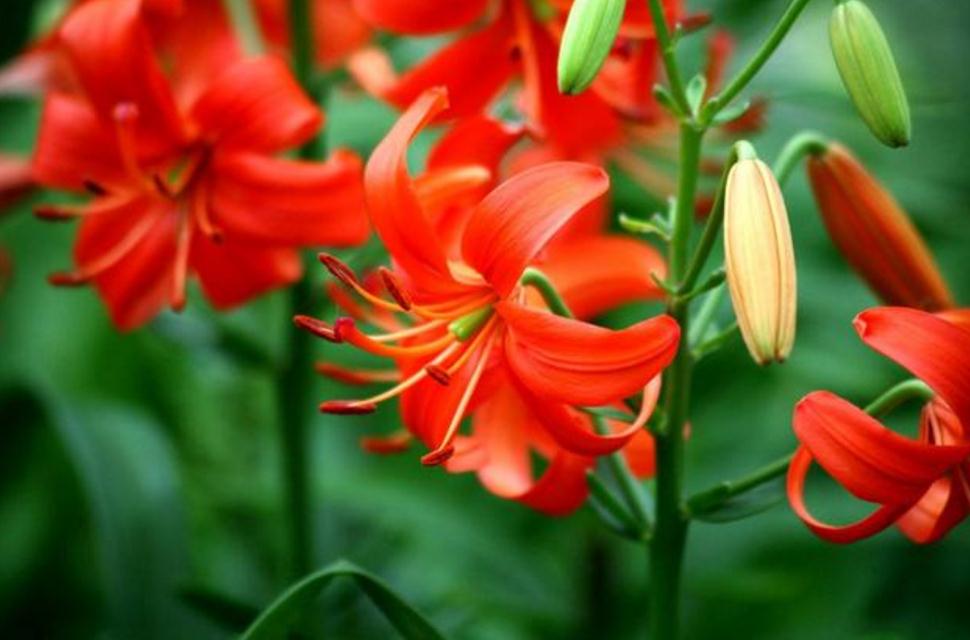 如果你现在很穷一定要做这几件事,在你最穷最困难的时候应该怎么做