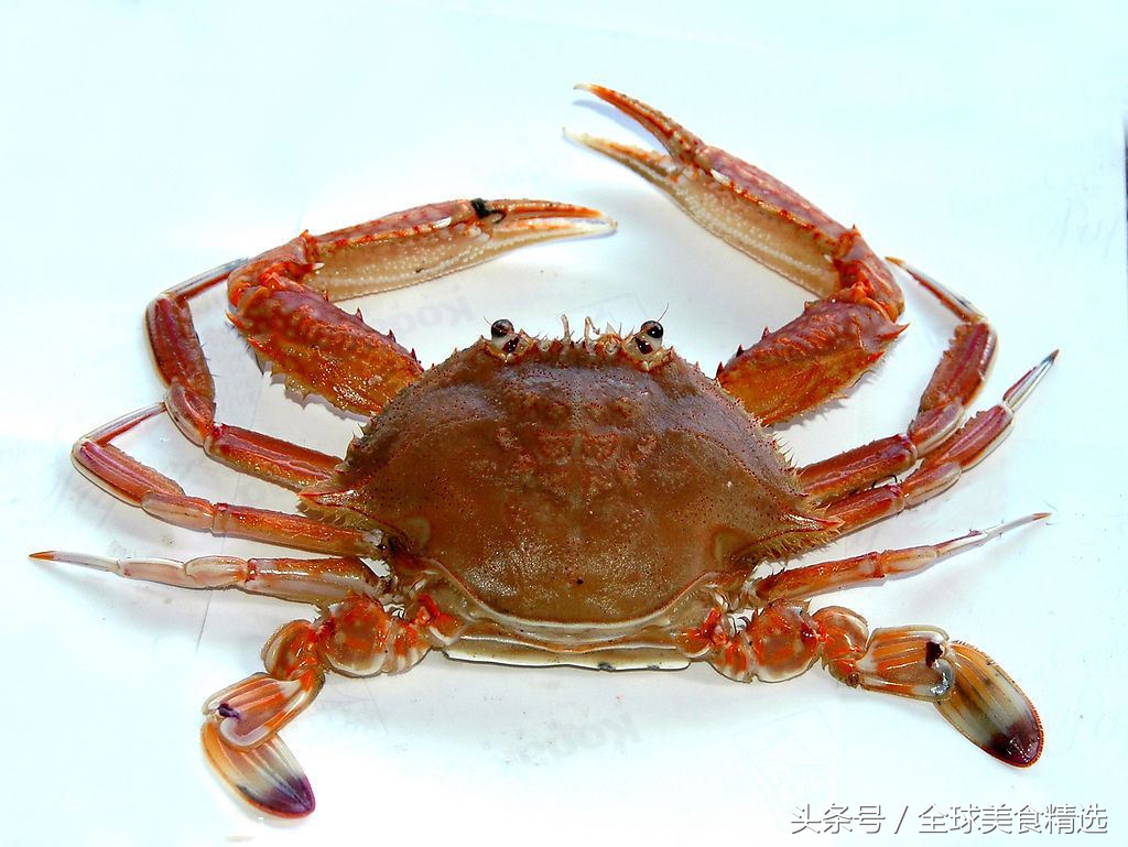 吃哪两种食物可以相克死亡,常吃这5类食物容易引发疾病