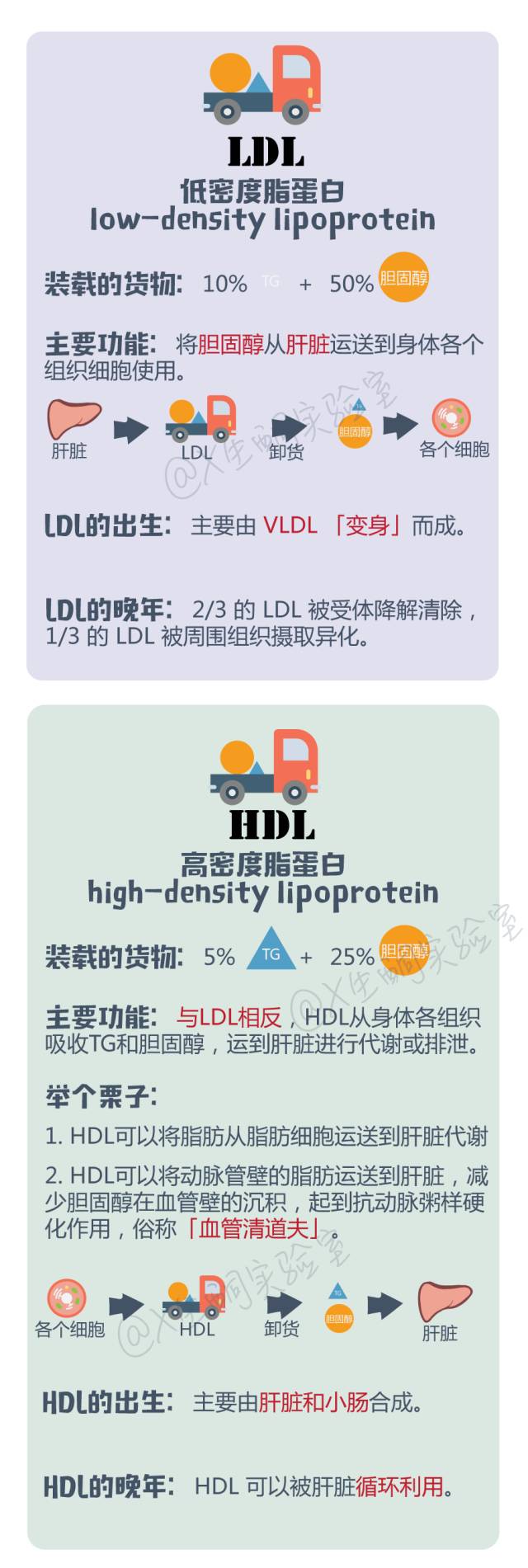 拿什么拯救你我的灵魂,拿什么拯救你的智商