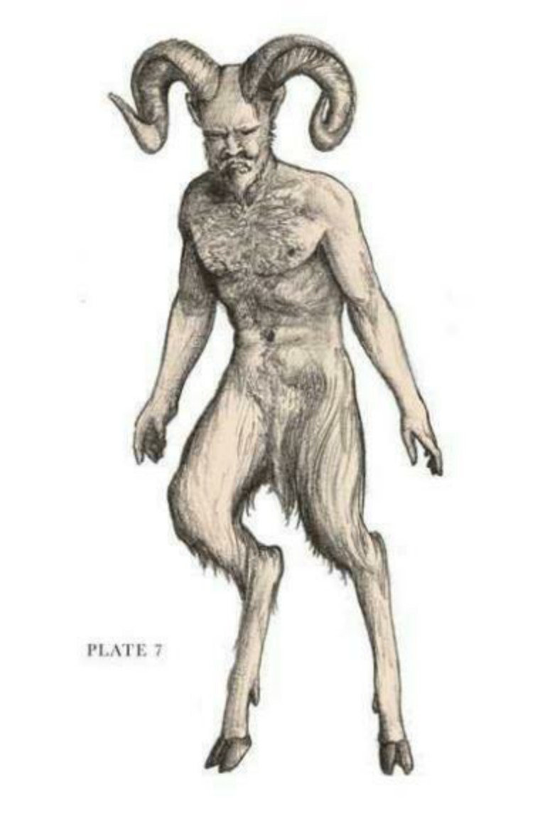 关于解剖美人鱼的电影解说,解剖美人鱼成功视频