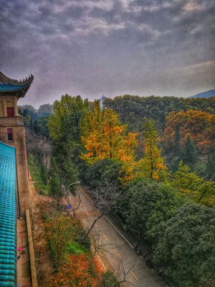 十大最美校园深圳大学,探访最美大学武汉大学