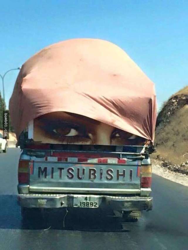 20张让人开怀大笑的猫咪照片,100张有趣猫咪照