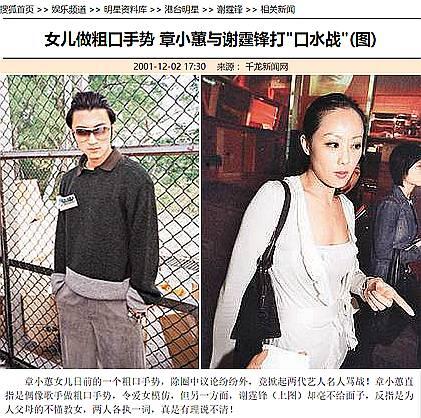 香江忆旧录,香江忆旧录张曼玉