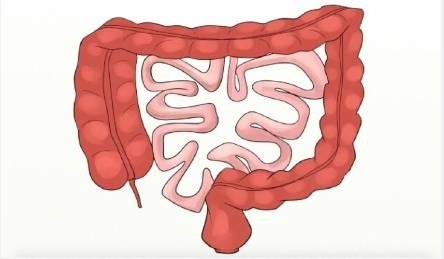 你留着那些垃圾干嘛英文,你留着那些垃圾干嘛英文歌