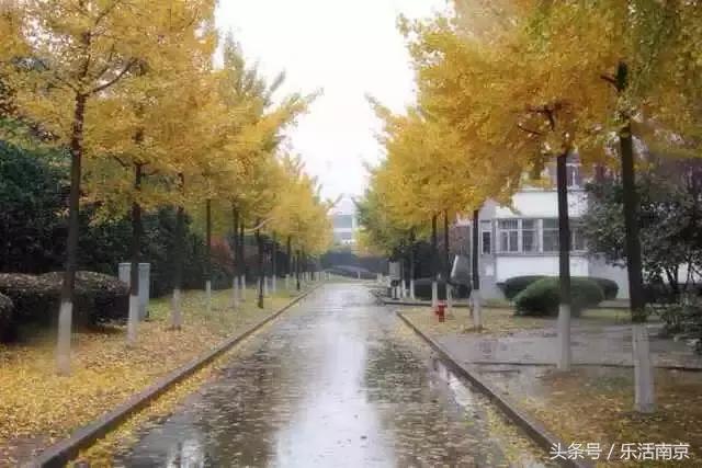 南京哪些大学毕业工资高,南京各大学毕业5年后待遇