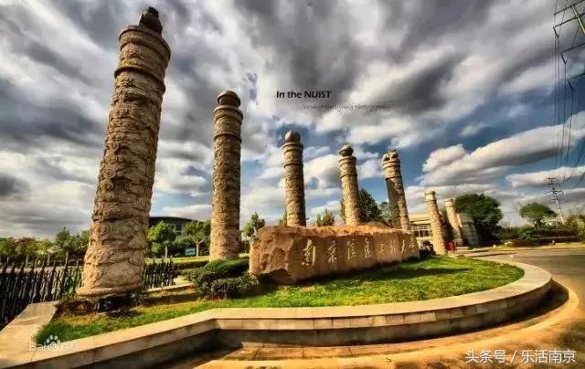 南京哪些大学毕业工资高,南京各大学毕业5年后待遇