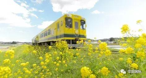 日本千叶是县吗,日本千叶县在哪里