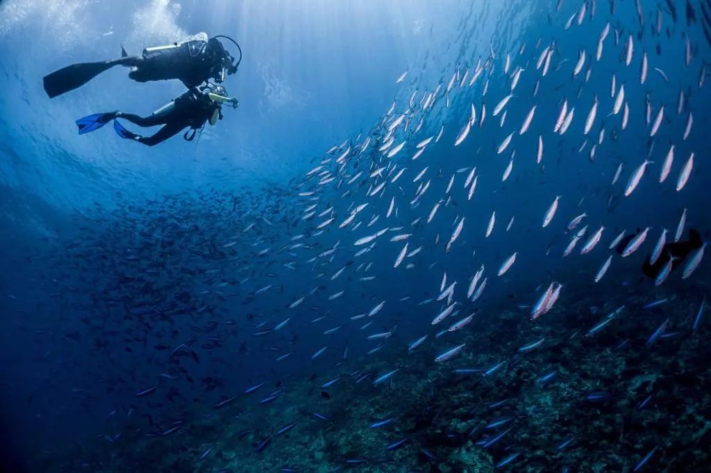 马尔代夫maldives是哪个岛,马尔代夫美居岛海景