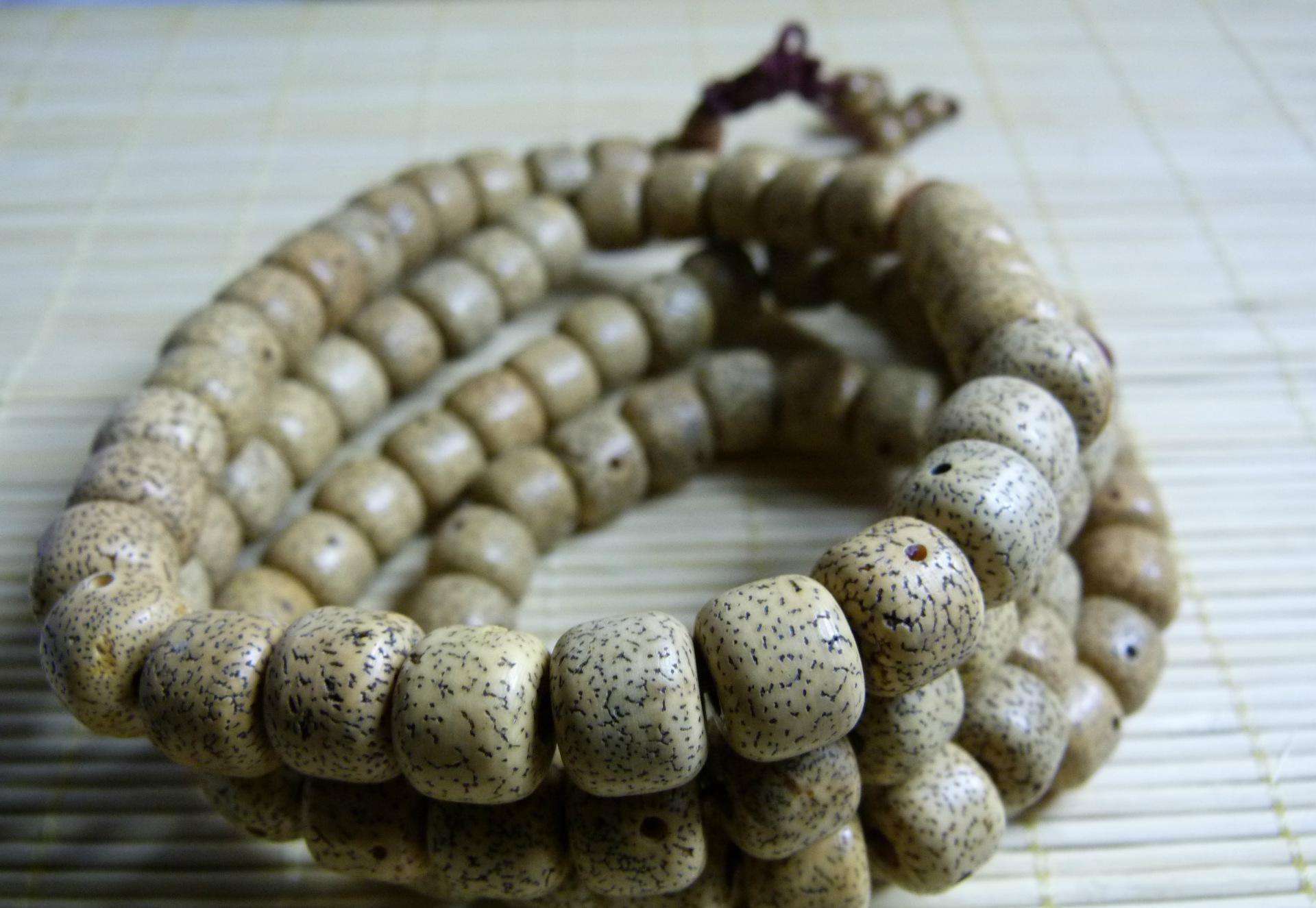 去旅游再也不怕奸商蒙人了，一篇能让你认清所有菩提子的文章！