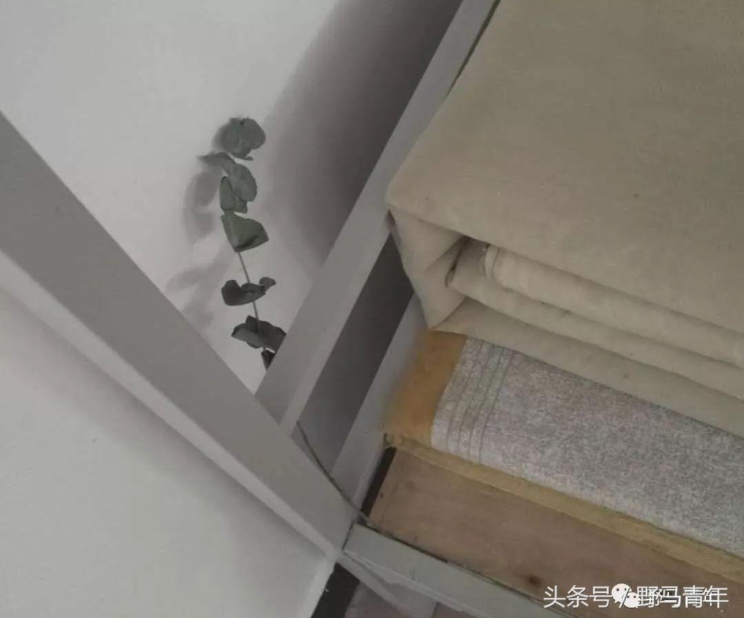 这一年提升幸福感的好物推荐,提升冬天幸福感的物件