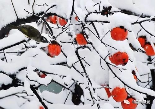 白里透红美颜,白里透红娇颜